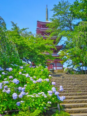  | 絶景事典