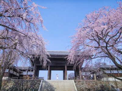  | 絶景事典