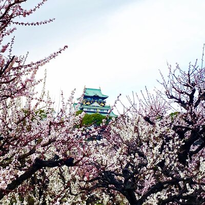  | 絶景事典