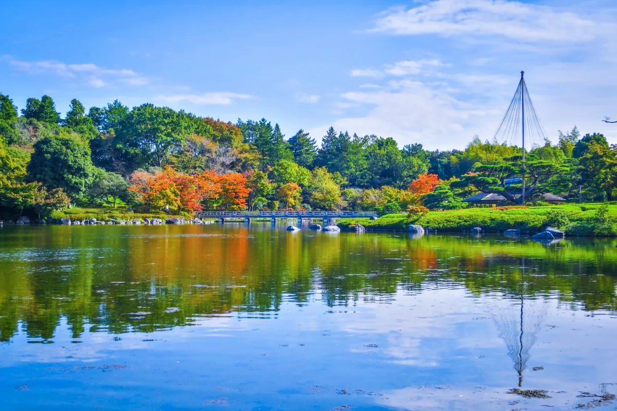 投稿写真：色づき始めた紅葉と雪吊りのリフレクション