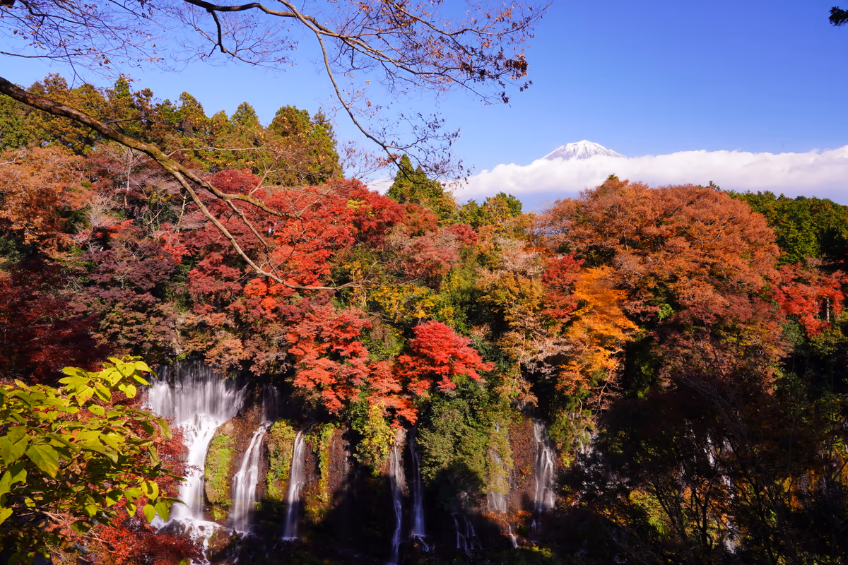 投稿写真：白糸の滝