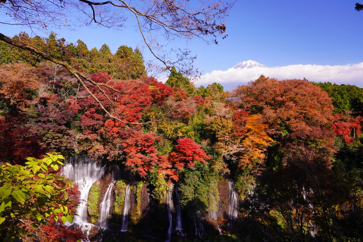 投稿写真：白糸の滝
