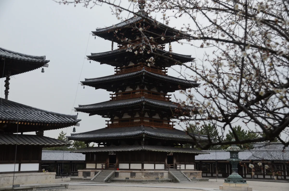 投稿写真：法隆寺　梅の香