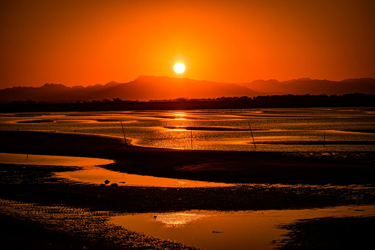 投稿写真：真玉海岸の初日の入り