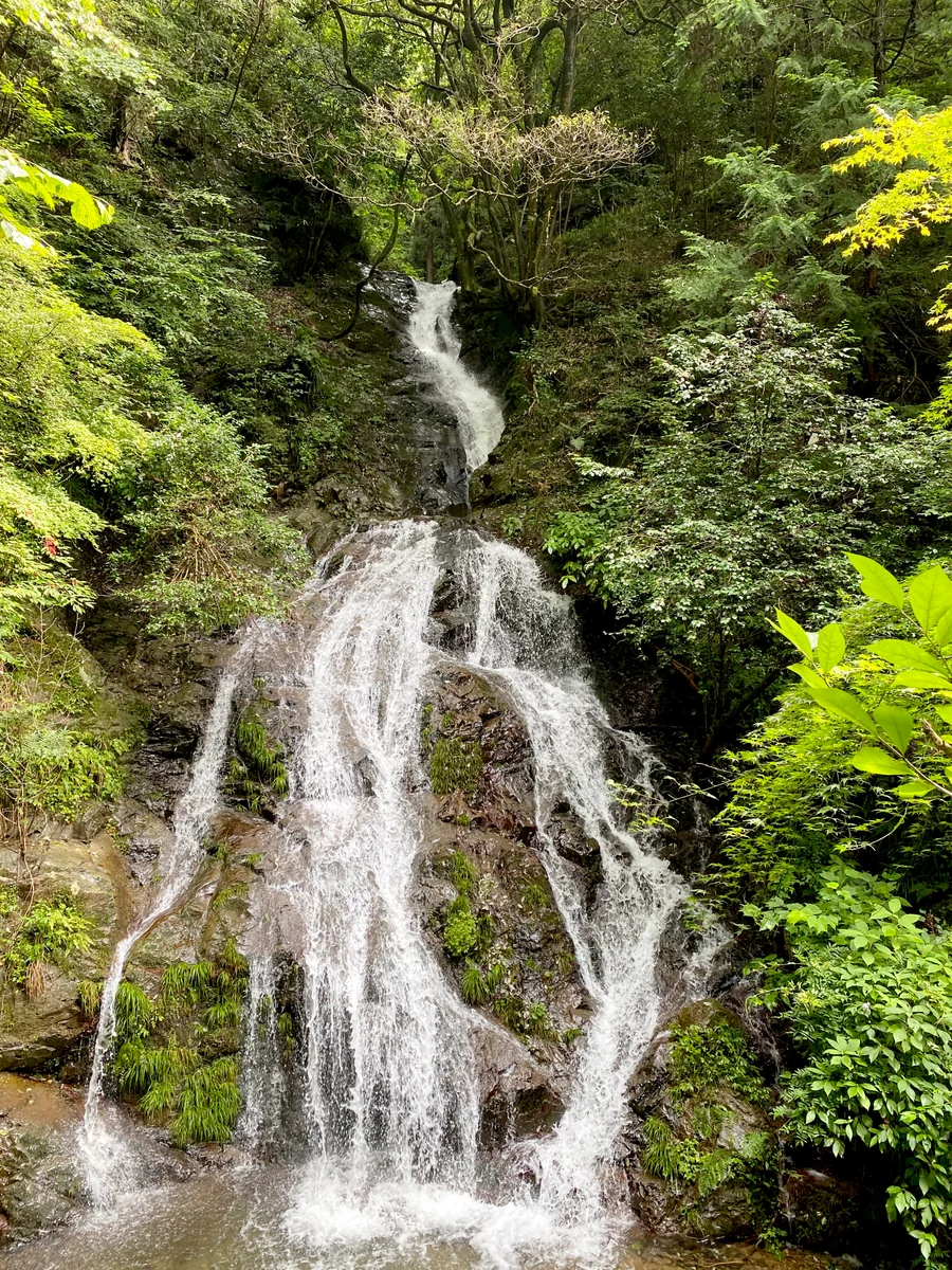 投稿写真：白岩ノ滝