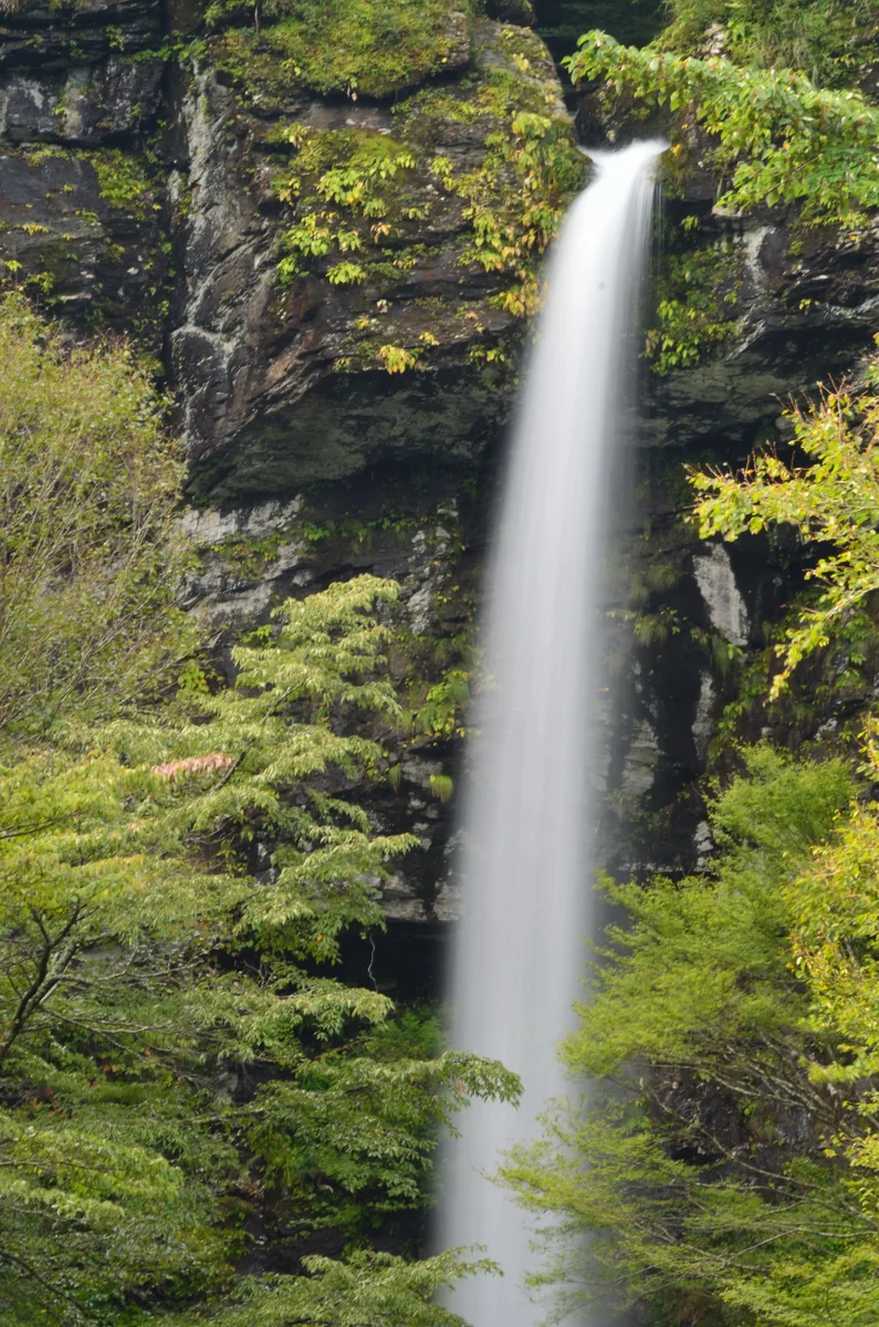 投稿写真：大瀧の滝