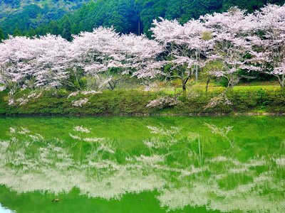  | 絶景事典