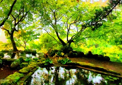  | 絶景事典
