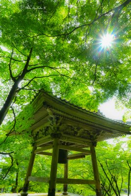  | 絶景事典