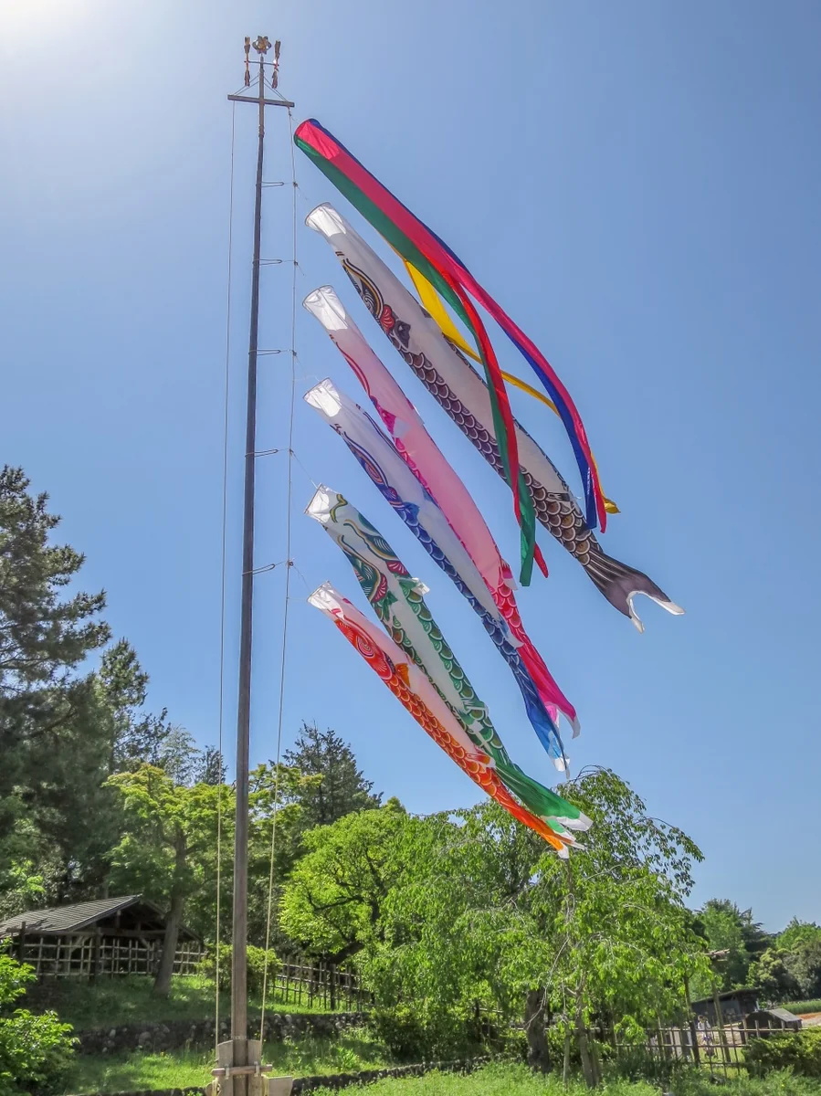 投稿写真：鯉のぼり