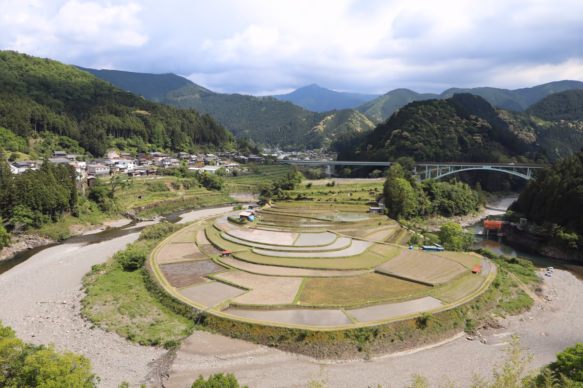 投稿写真：あらぎ島