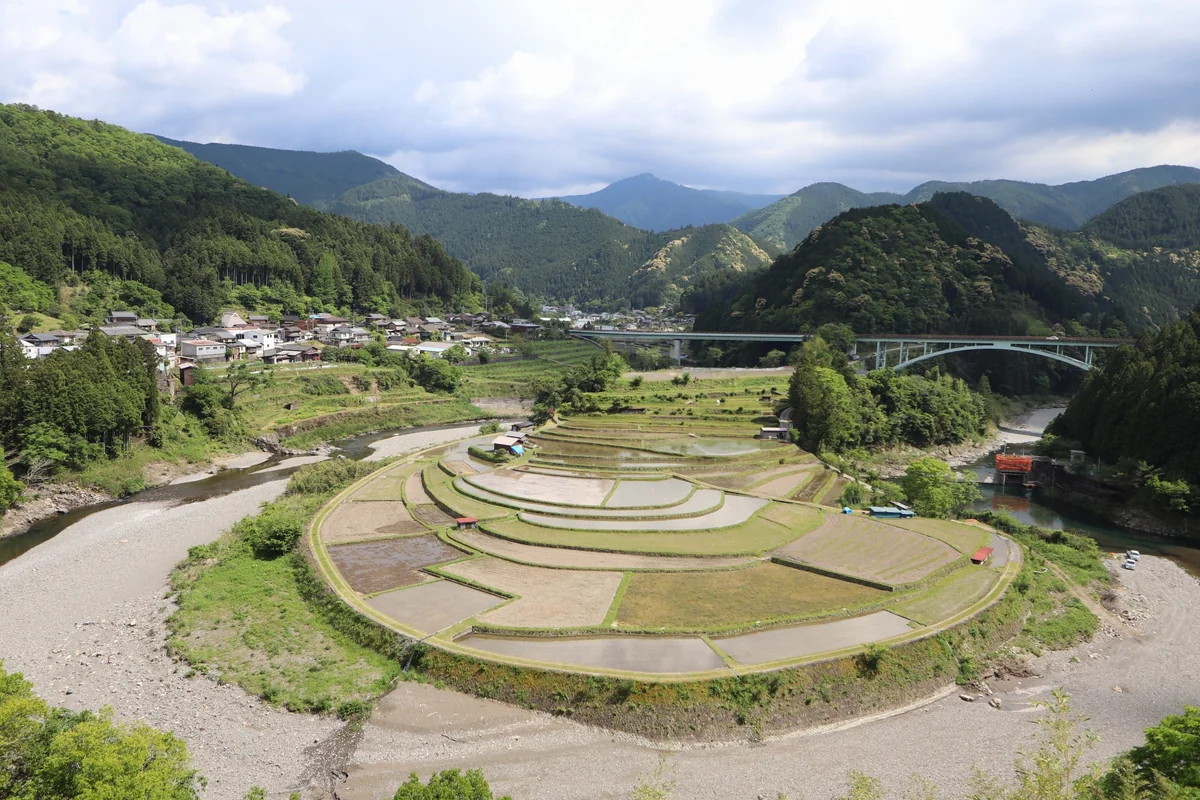 投稿写真：あらぎ島