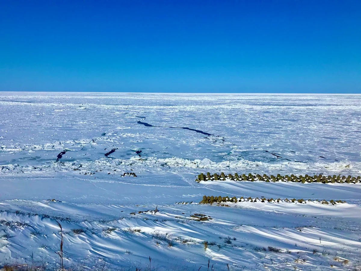 投稿写真：流氷接岸