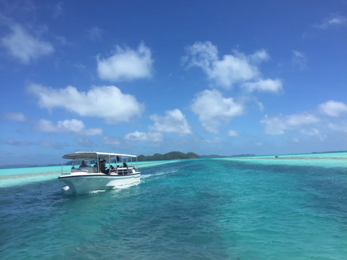 投稿写真：ブルーのグラデーション！