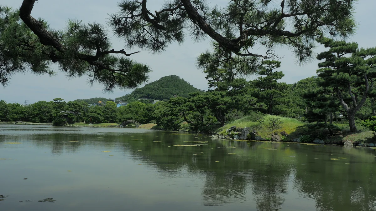 投稿写真：名勝　養翠園