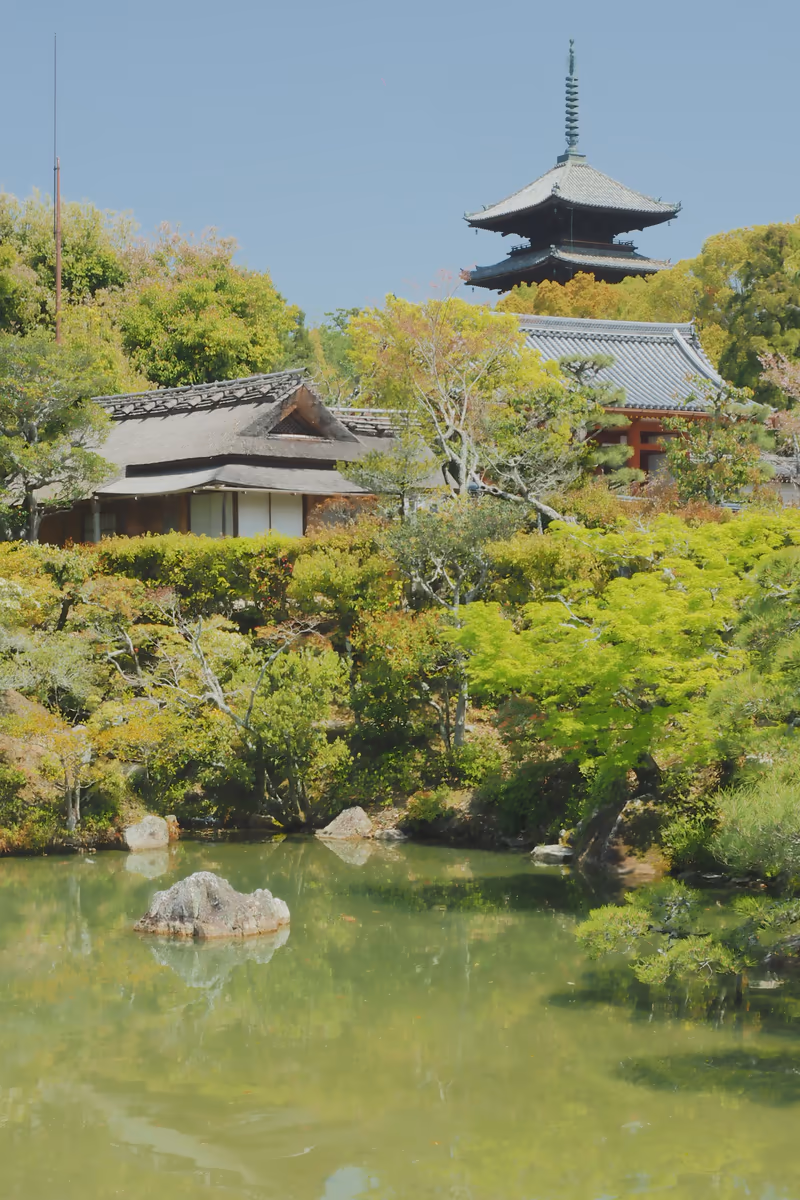 投稿写真：仁和寺　御所庭園