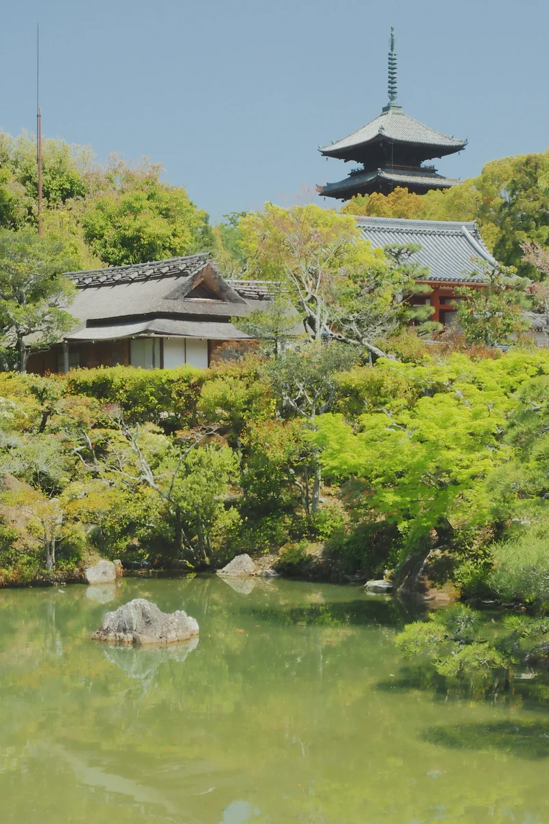 投稿写真：仁和寺　御所庭園