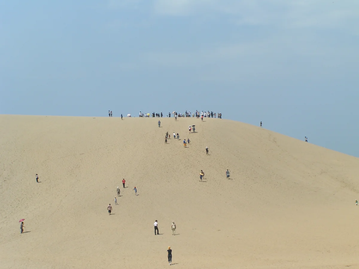 投稿写真：鳥取砂丘