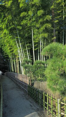  | 絶景事典