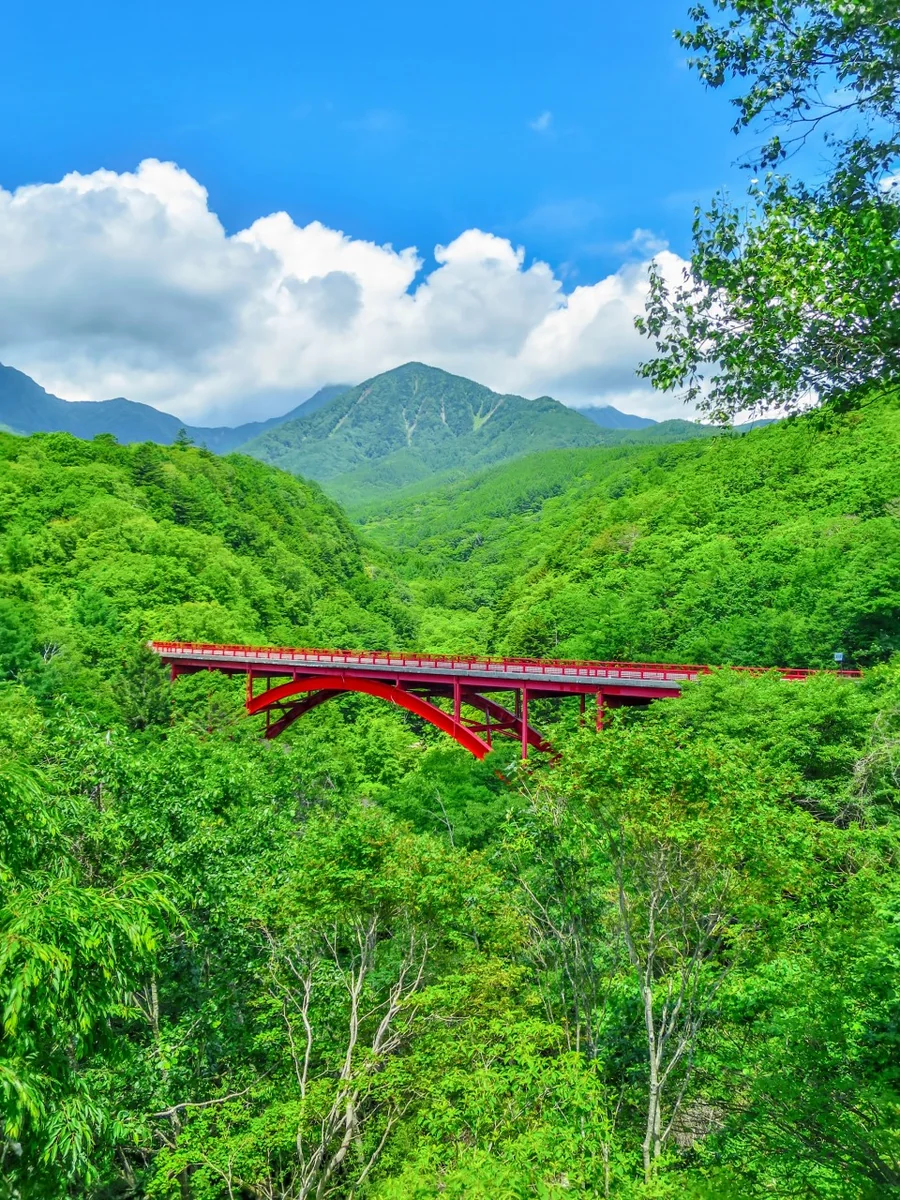投稿写真：東沢大橋