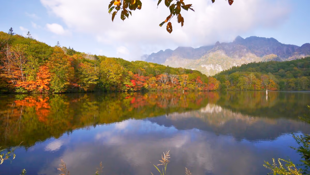 投稿写真：鏡池