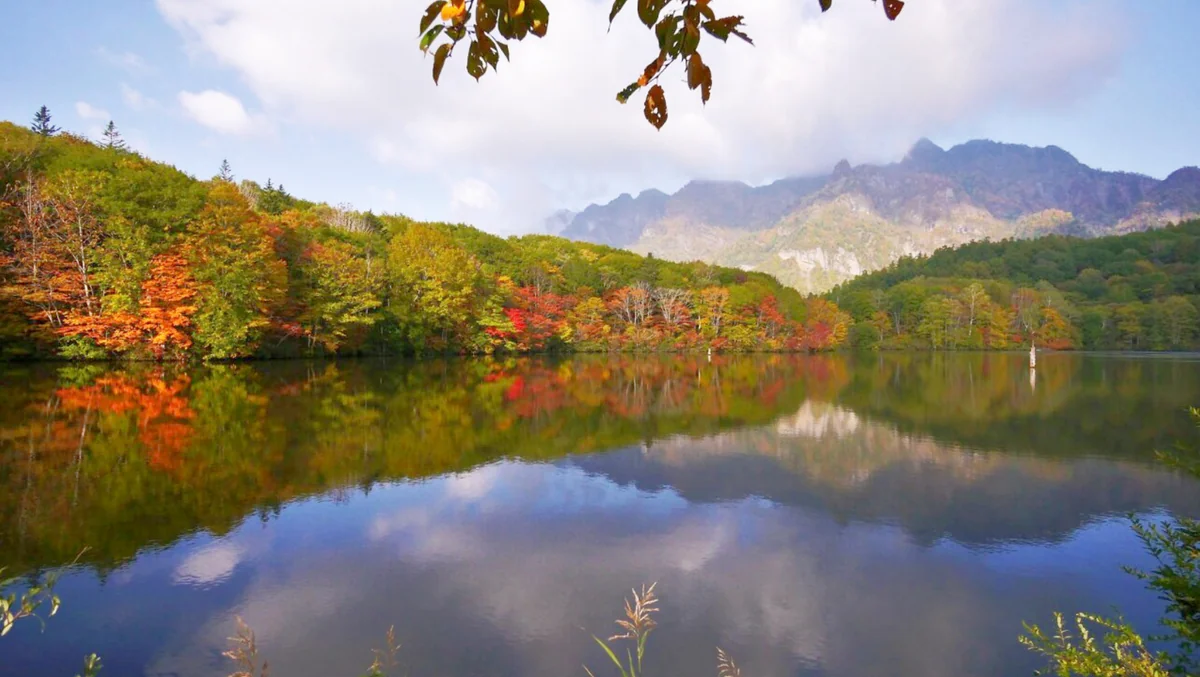 投稿写真：鏡池