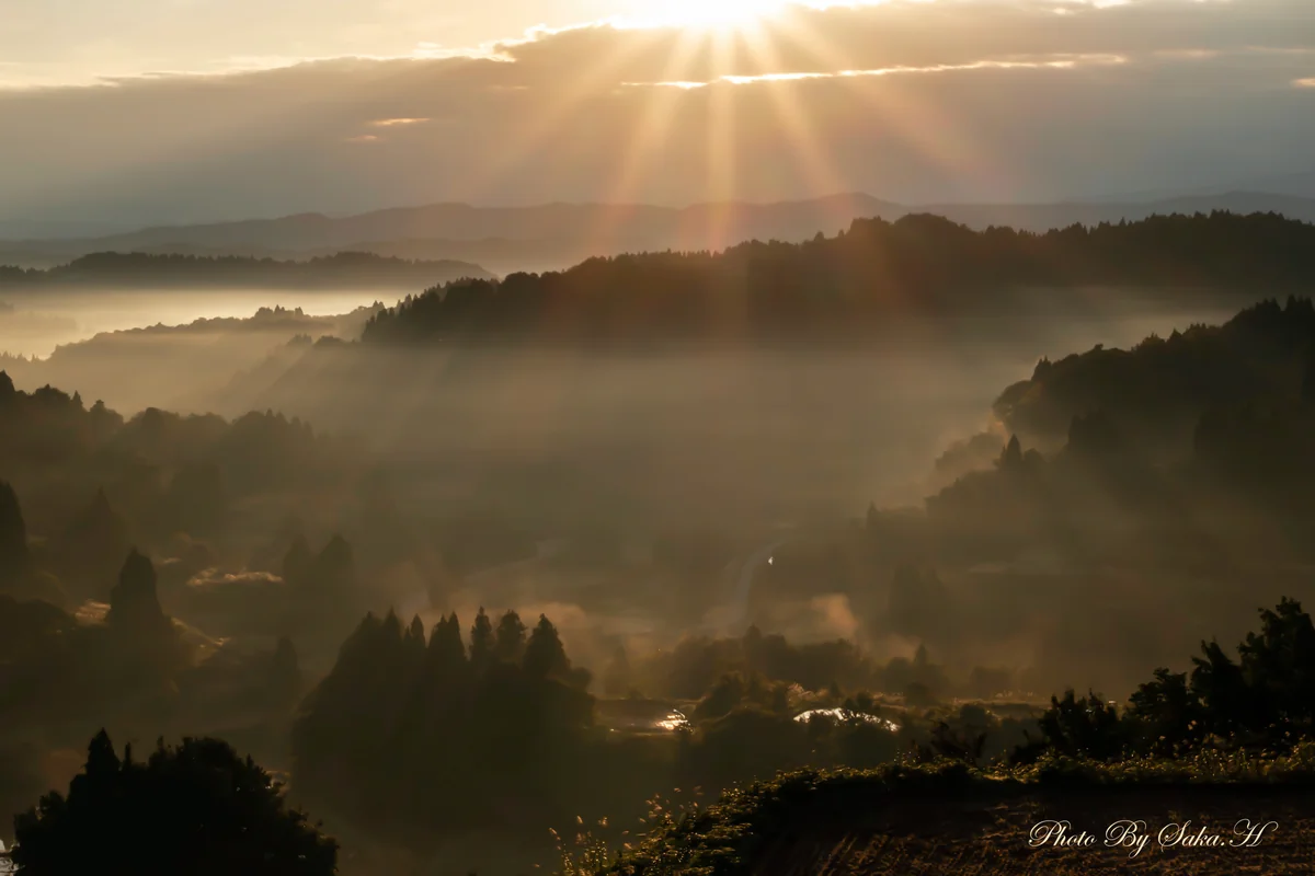 投稿写真：光 降り注ぐ