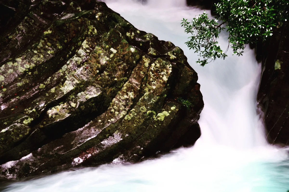 投稿写真：河津七滝　出合滝