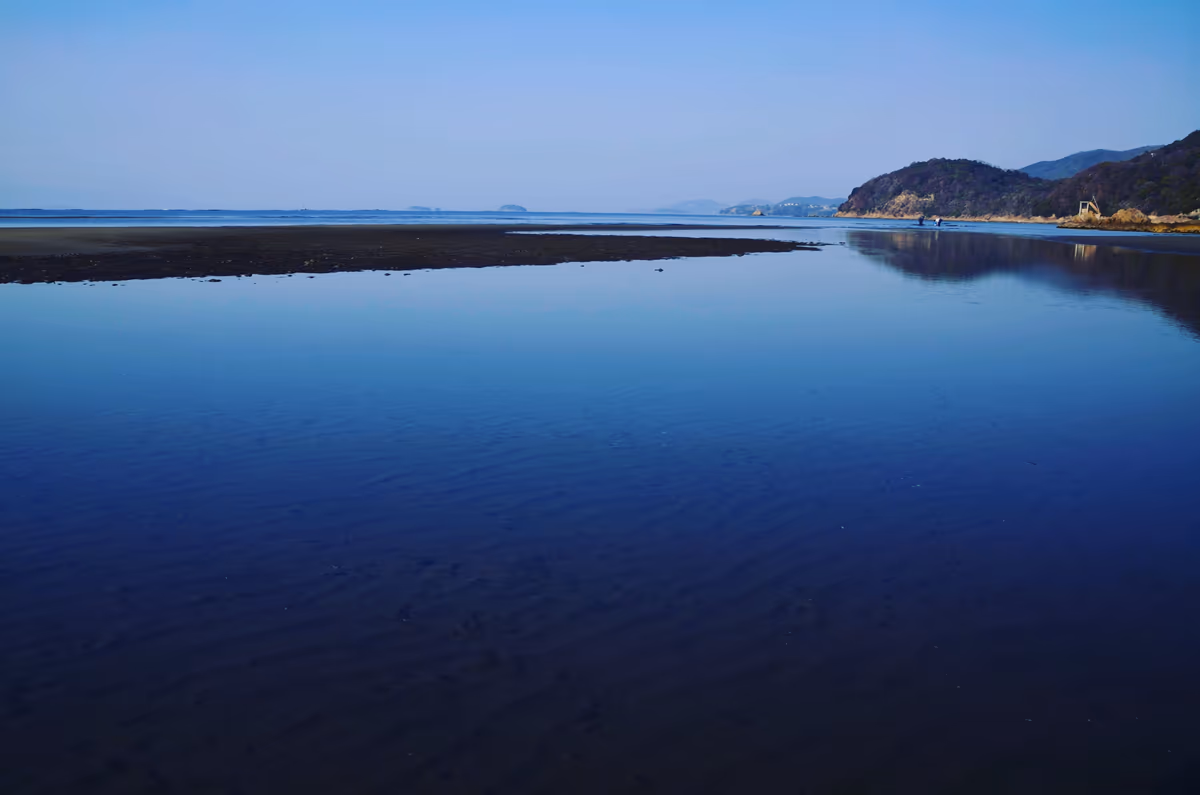 投稿写真：春の干潟