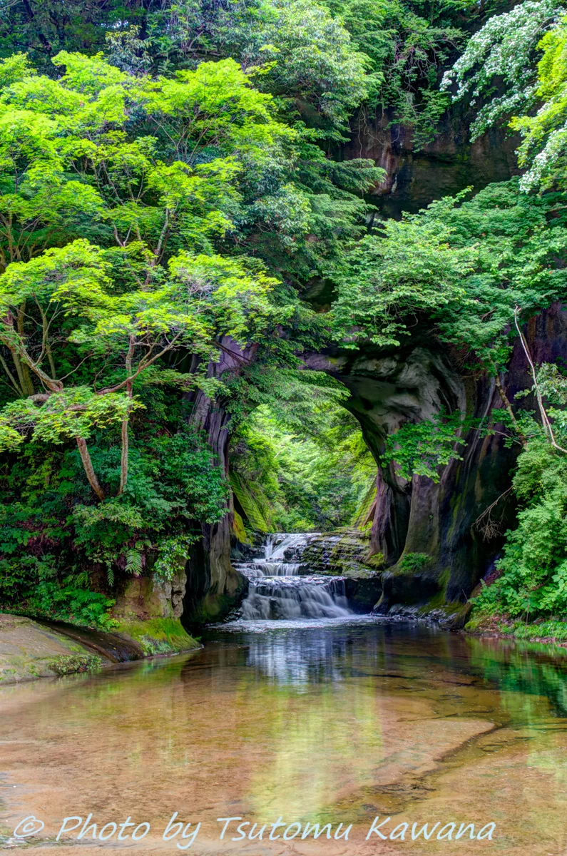 投稿写真：緑に染まり、清らかに流れ行く