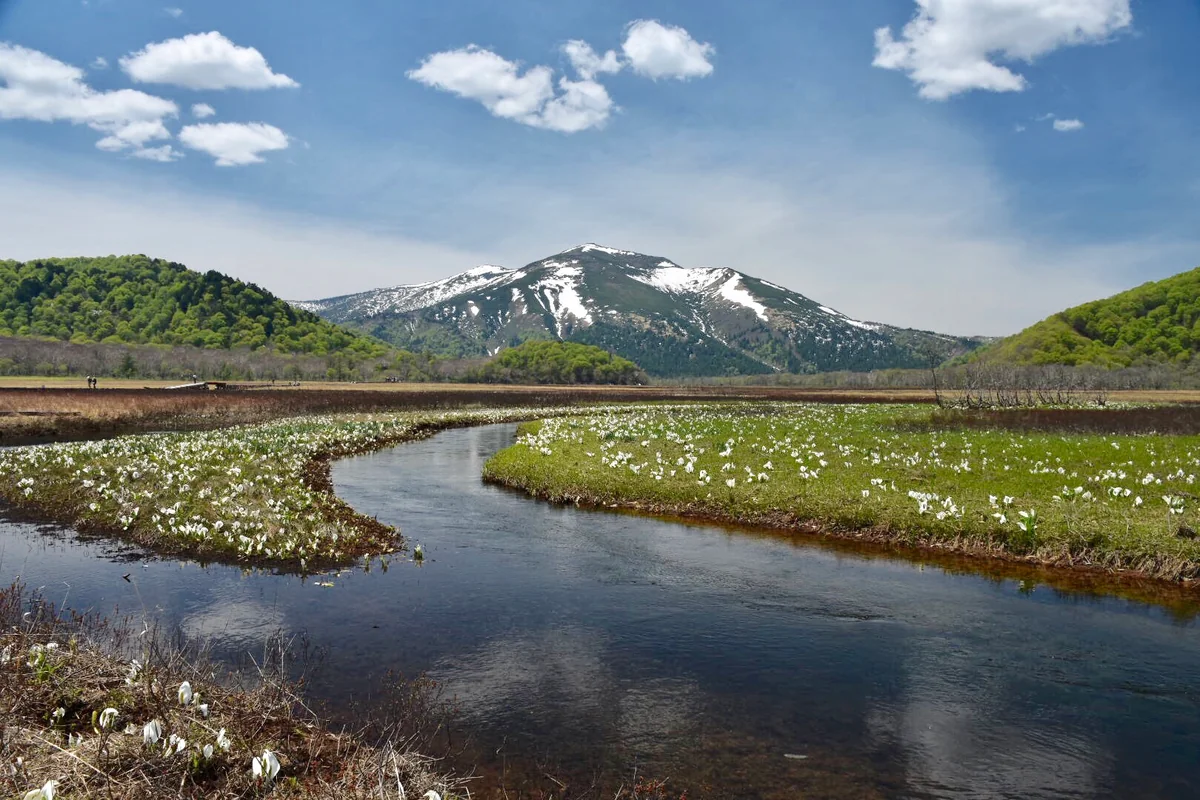 投稿写真：尾瀬国立公園