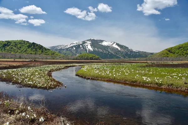 投稿：尾瀬国立公園