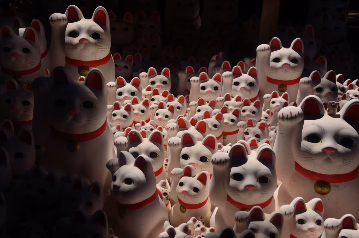 投稿写真：にゃオンの恐怖