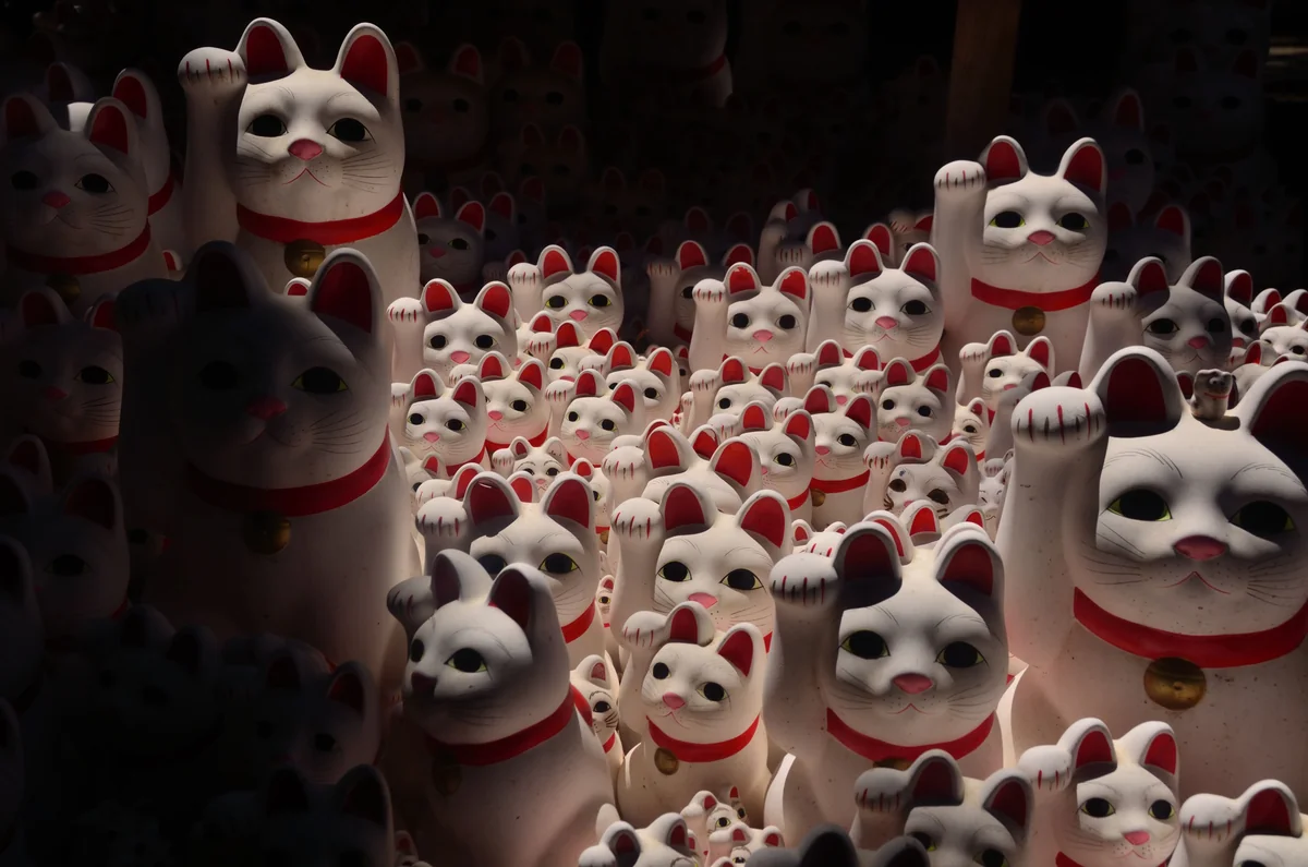 投稿写真：にゃオンの恐怖