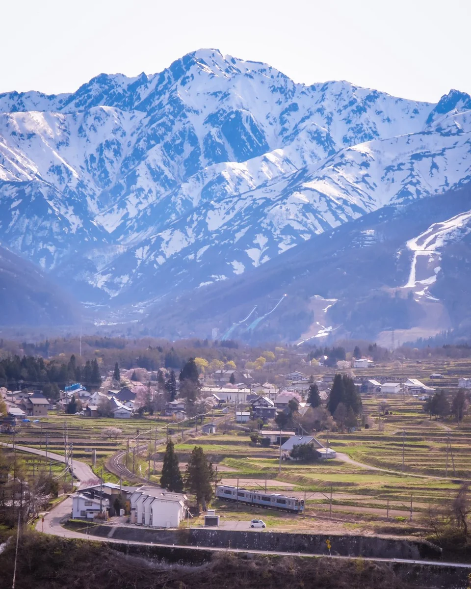 投稿写真：残雪の五竜岳と大糸線電車