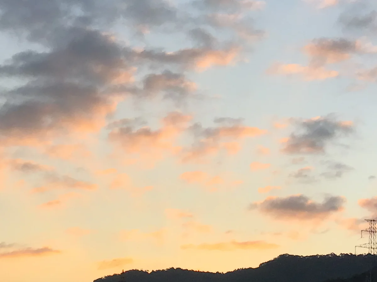 投稿写真：朝日