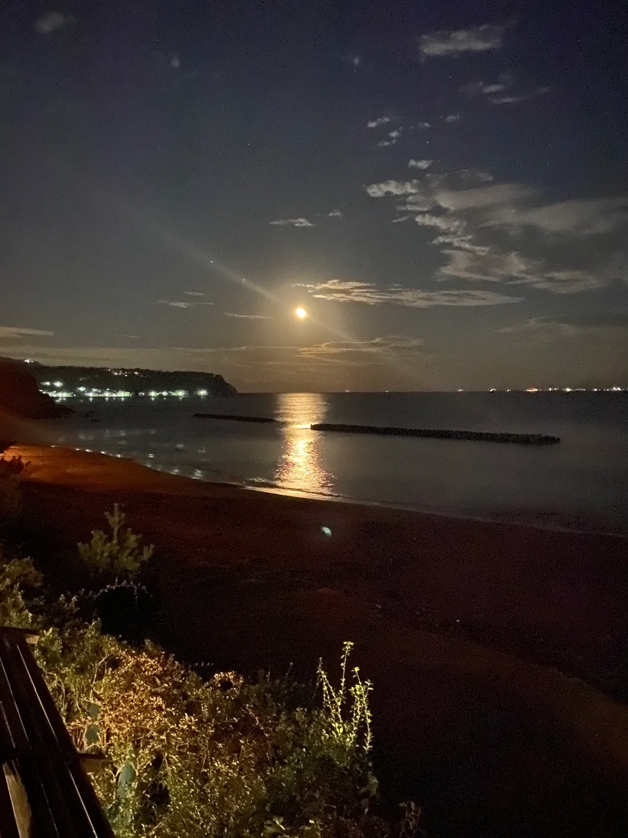 投稿写真：ツキノミチ