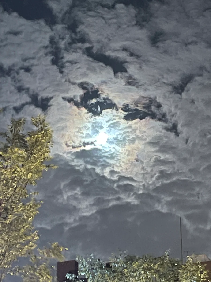 投稿写真：2021 中秋の名月