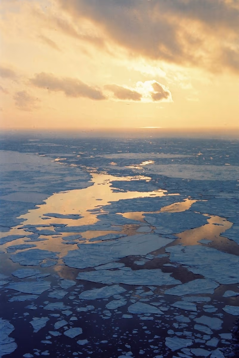 投稿写真：流氷の海