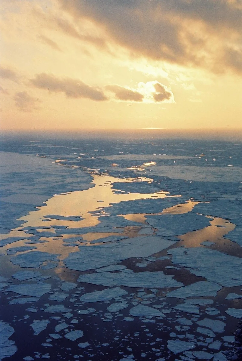 投稿写真：流氷の海