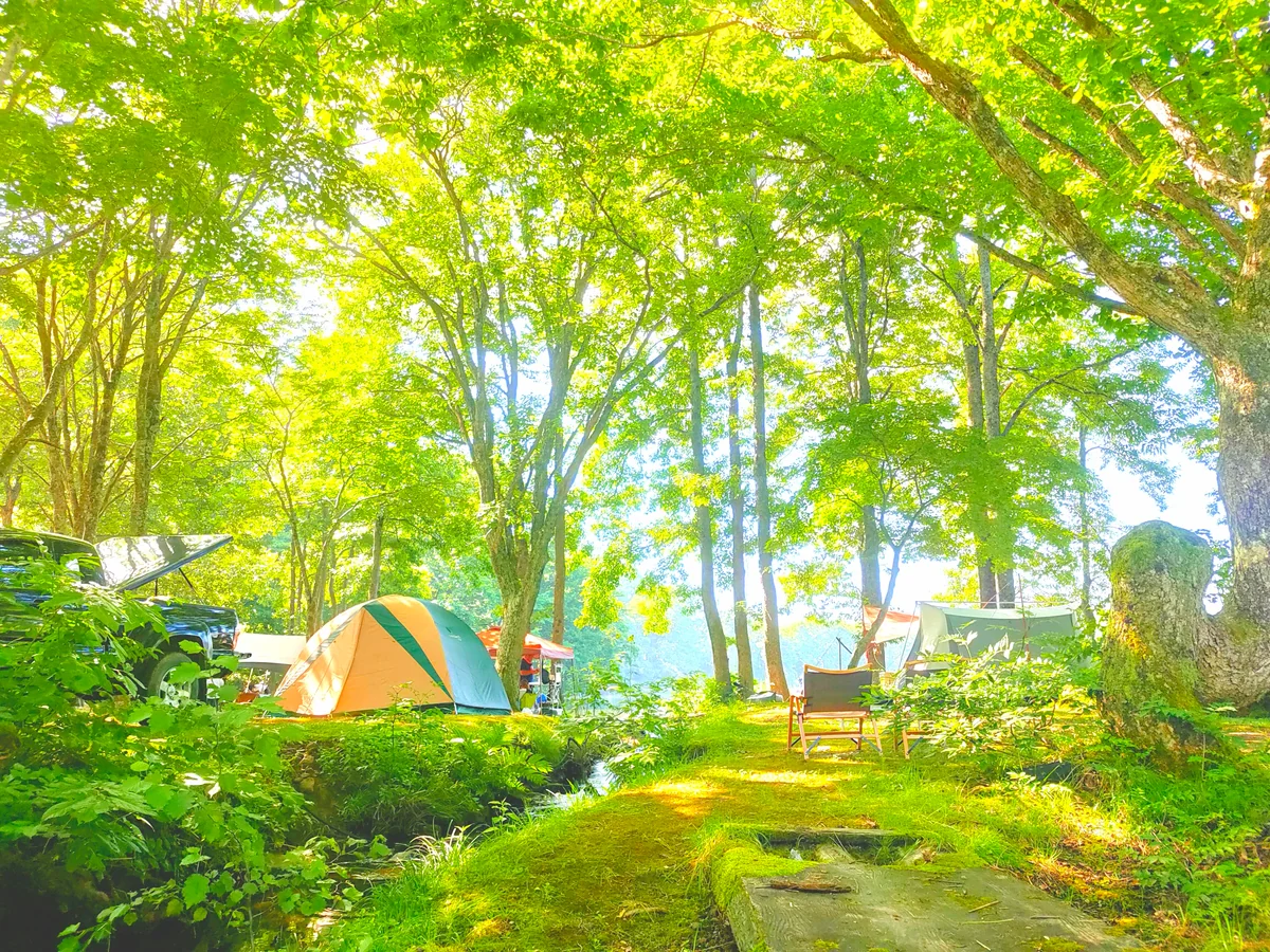 岩石さんの投稿写真