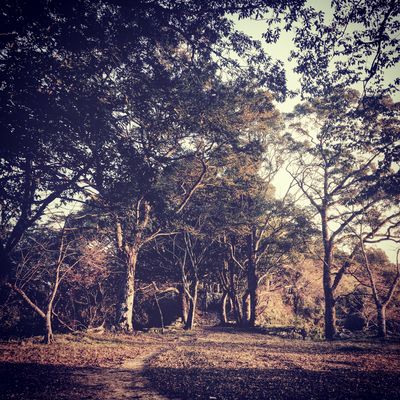  | 絶景事典