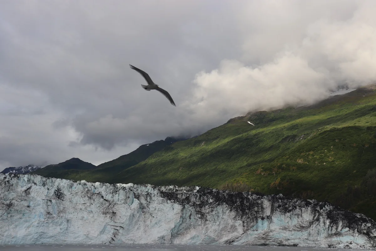 投稿写真：氷河を翔ぶ