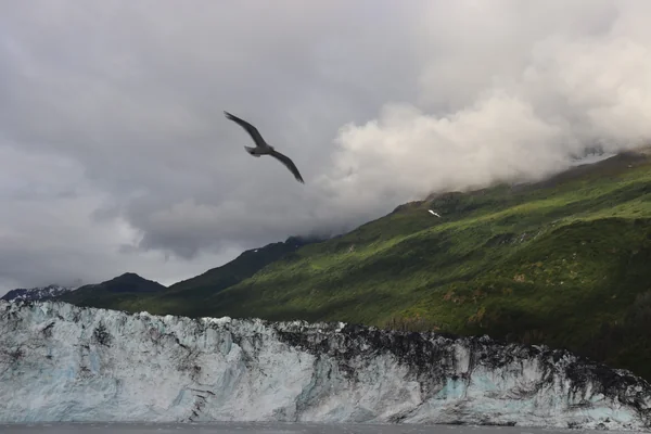 投稿：氷河を翔ぶ