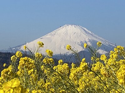  | 絶景事典