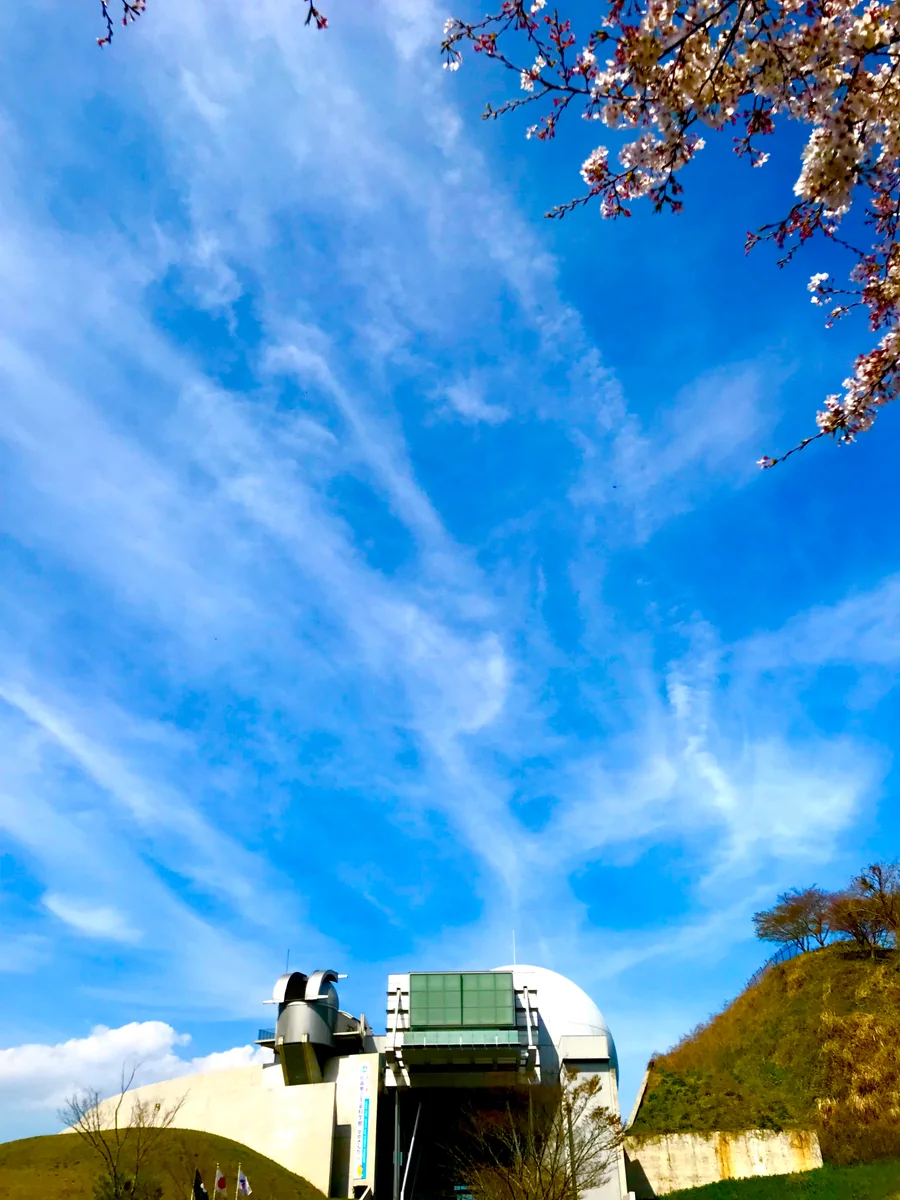 投稿写真：人の記憶って時間が経過するほどに曖昧になってくるから