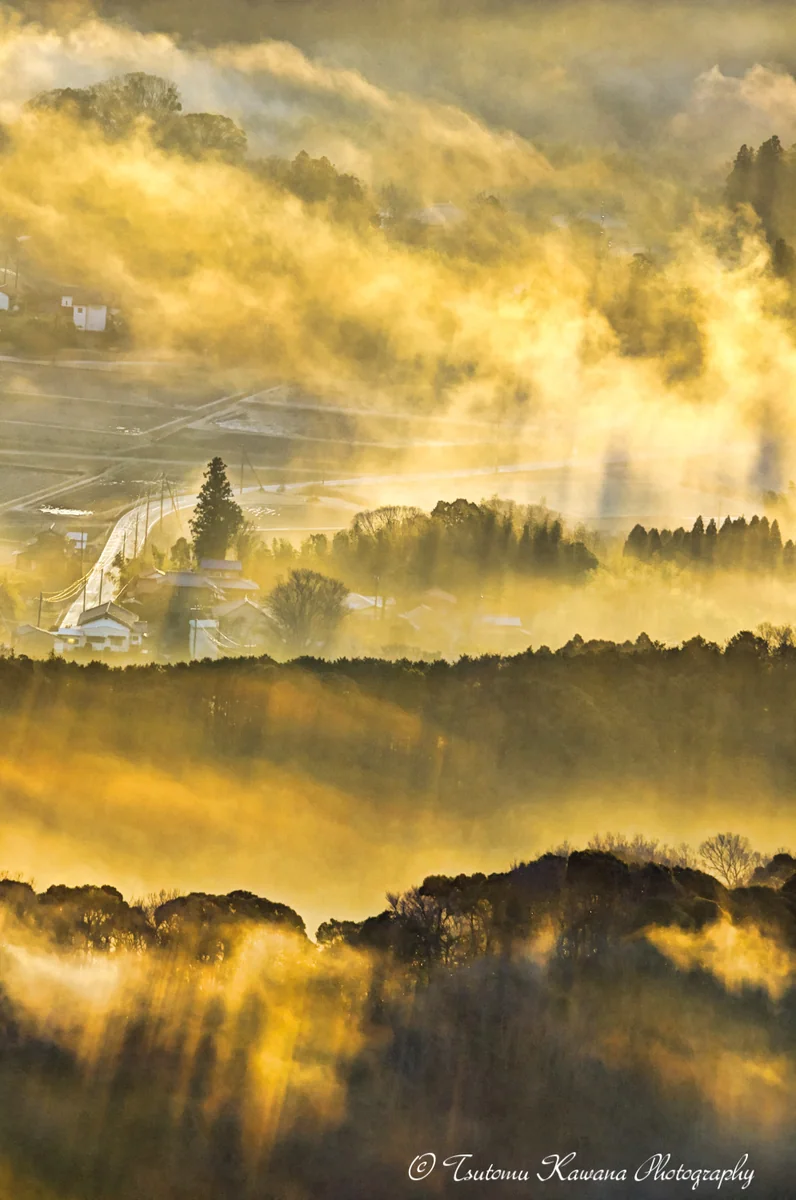 投稿写真：里の朝に陽光注ぐ～。