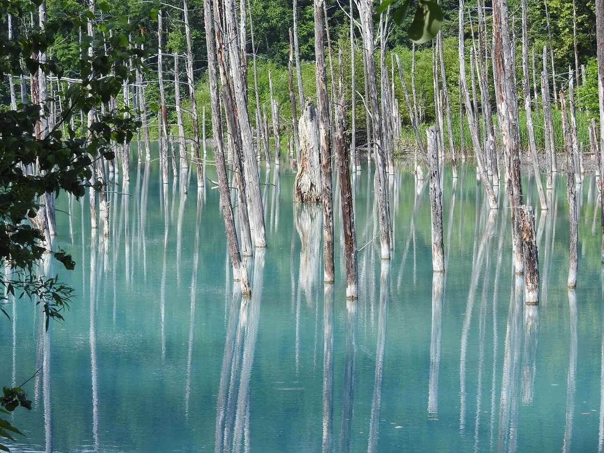 投稿写真：青い池