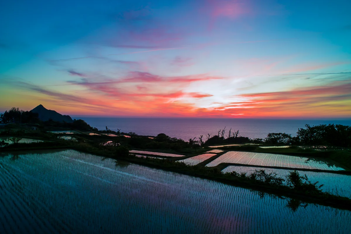 投稿写真：夕暮れの田んぼ