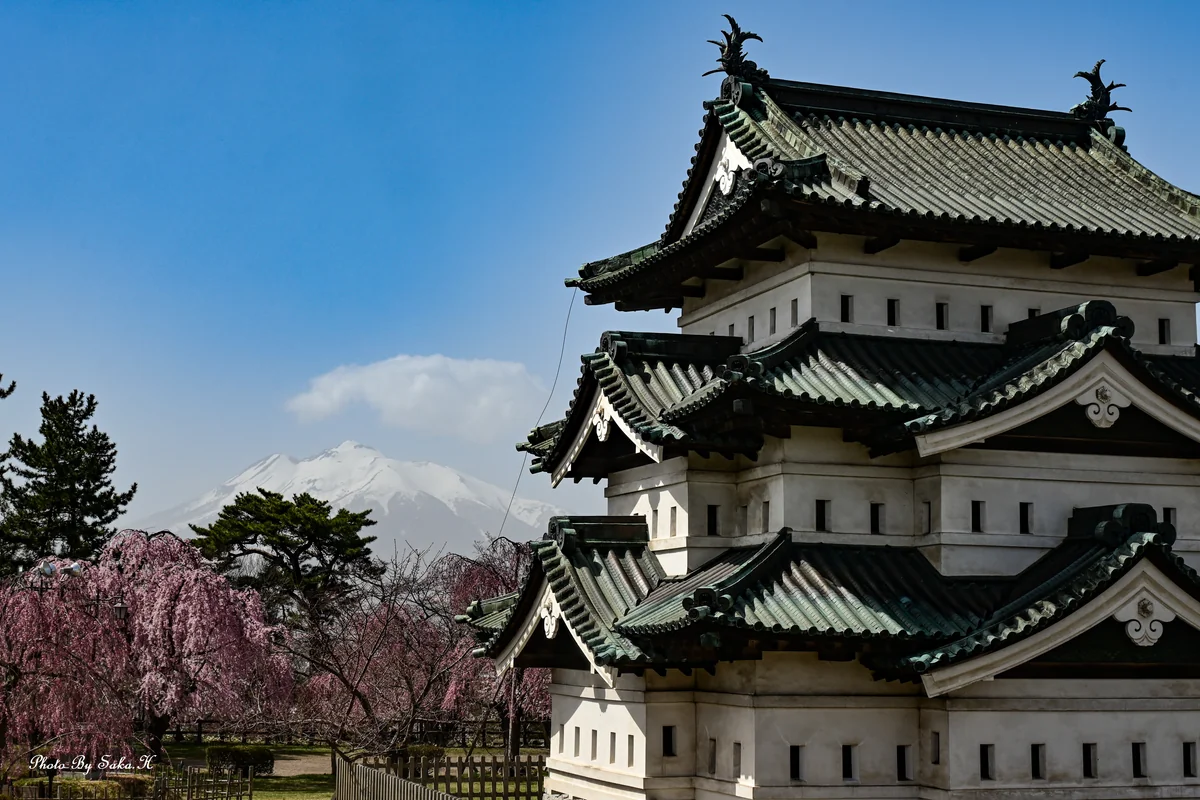 投稿写真：弘前城と岩木山